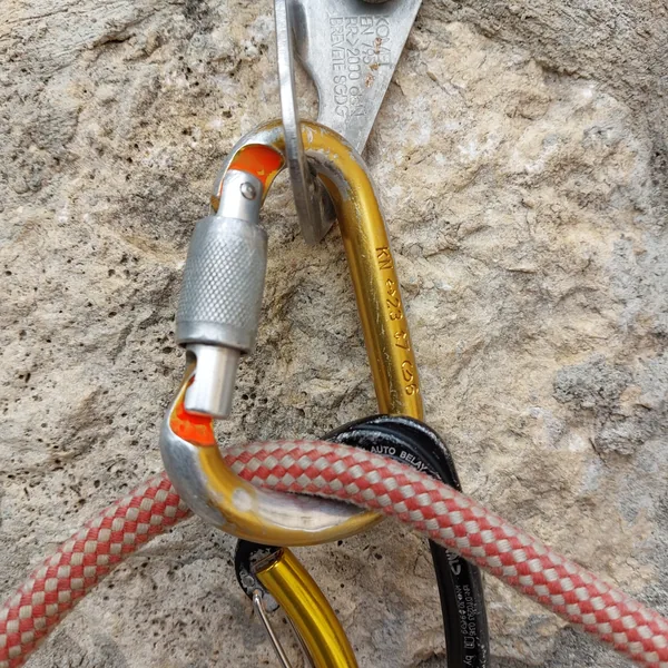 Screwgate safety carabiner and belay device
